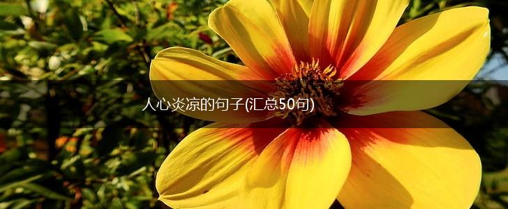 人心炎凉的句子(汇总50句),第1张