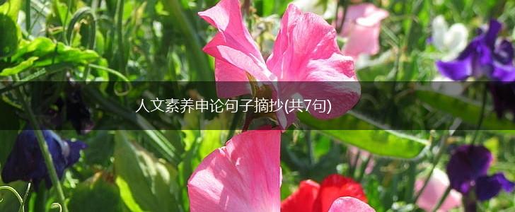 人文素养申论句子摘抄(共7句),第1张