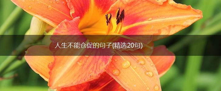 人生不能仓促的句子(精选20句),第1张