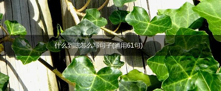 什么到底怎么写句子(通用61句),第1张