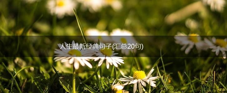 人生最新经典句子(汇总20句),第1张