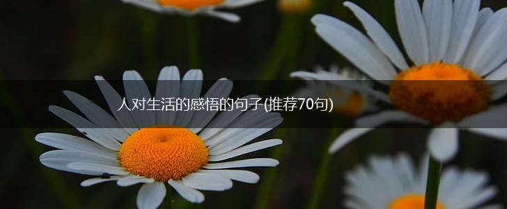 人对生活的感悟的句子(推荐70句),第1张