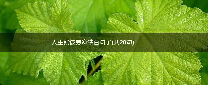 人生就该劳逸结合句子(共20句),第1张