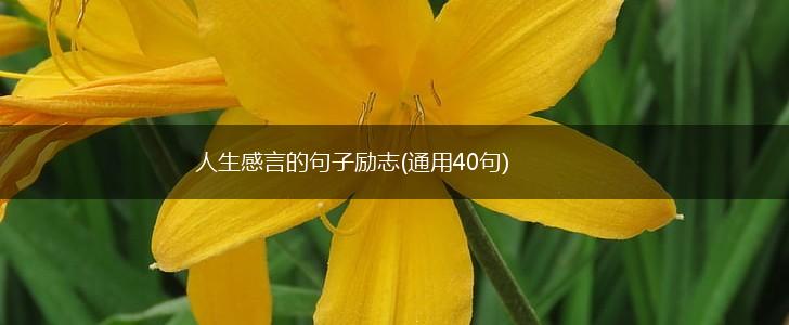 人生感言的句子励志(通用40句),第1张