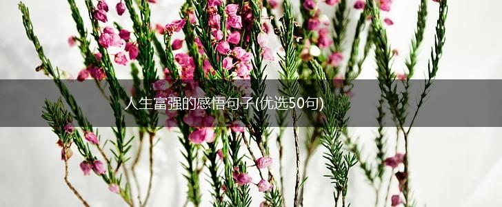 人生富强的感悟句子(优选50句),第1张