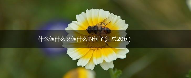 什么像什么又像什么的句子(汇总20句),第1张