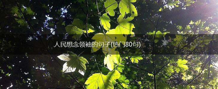 人民想念领袖的句子(热门80句),第1张