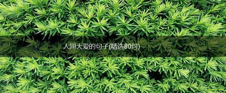 人间大爱的句子(精选80句),第1张