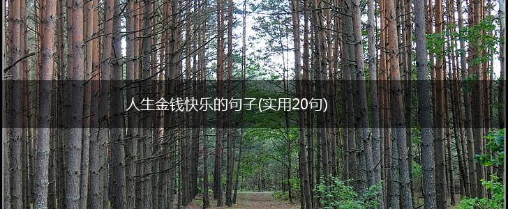 人生金钱快乐的句子(实用20句),第1张