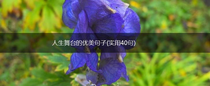 人生舞台的优美句子(实用40句),第1张