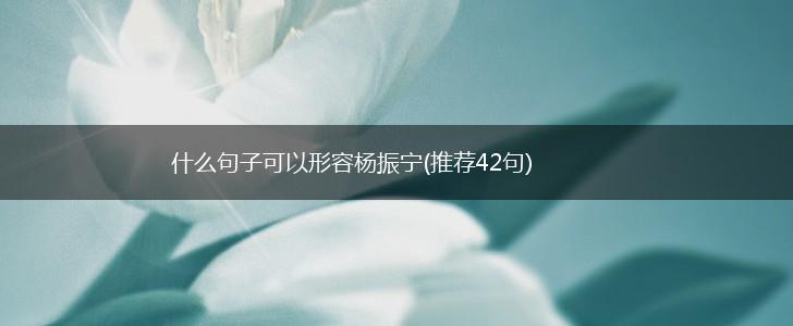 什么句子可以形容杨振宁(推荐42句),第1张