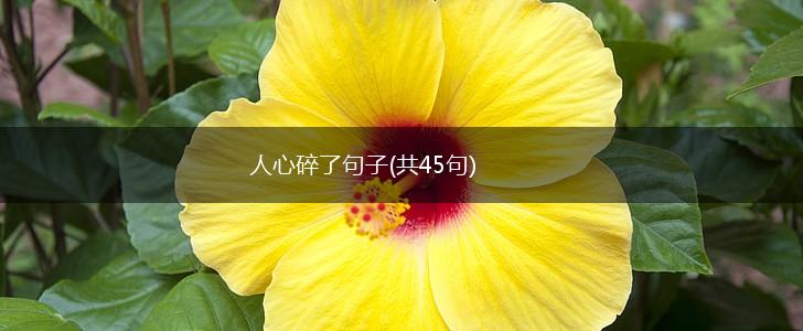 人心碎了句子(共45句),第1张