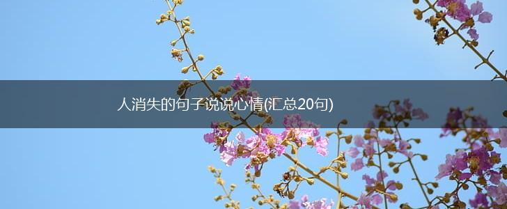 人消失的句子说说心情(汇总20句),第1张