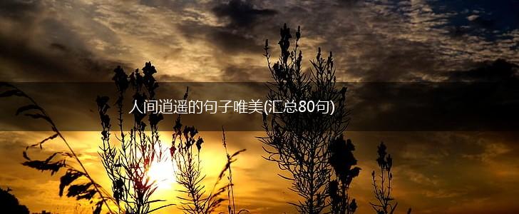 人间逍遥的句子唯美(汇总80句),第1张