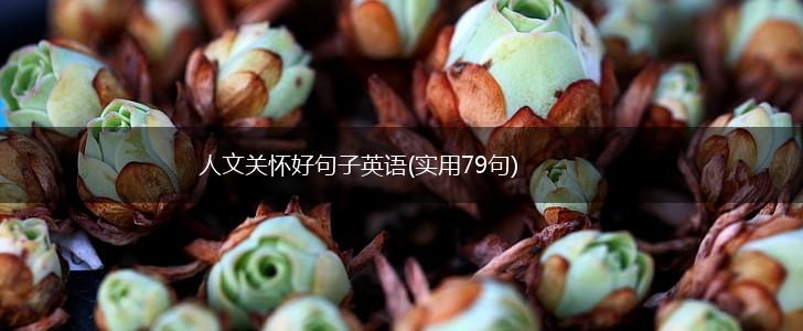 人文关怀好句子英语(实用79句),第1张