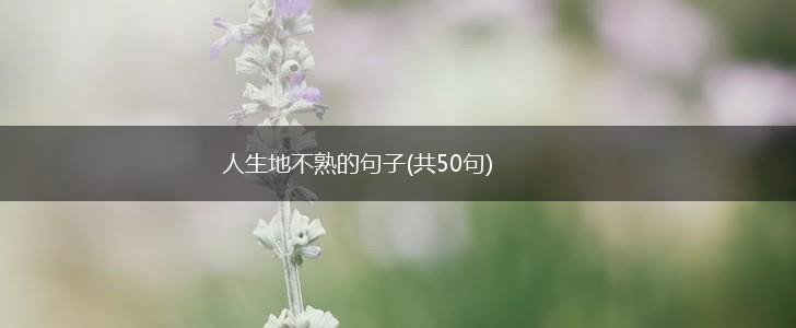 人生地不熟的句子(共50句),第1张