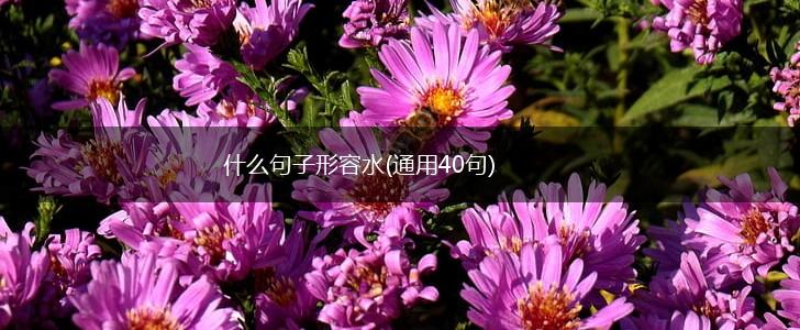 什么句子形容水(通用40句),第1张