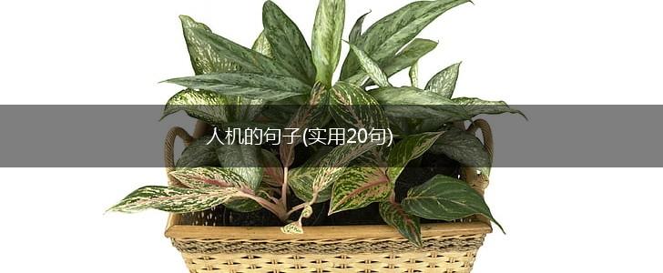 人机的句子(实用20句),第1张