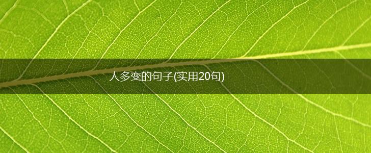 人多变的句子(实用20句),第1张