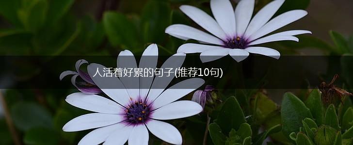 人活着好累的句子(推荐10句),第1张