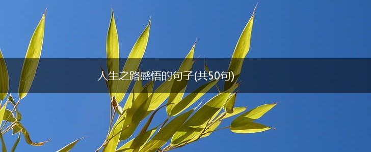 人生之路感悟的句子(共50句),第1张