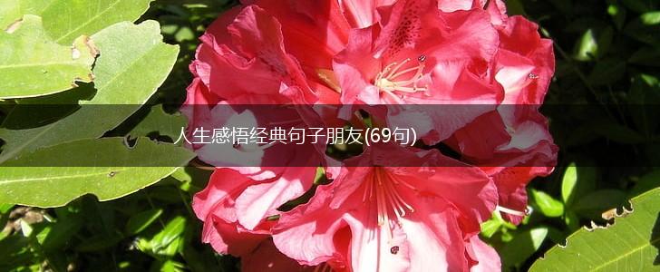 人生感悟经典句子朋友(69句),第1张