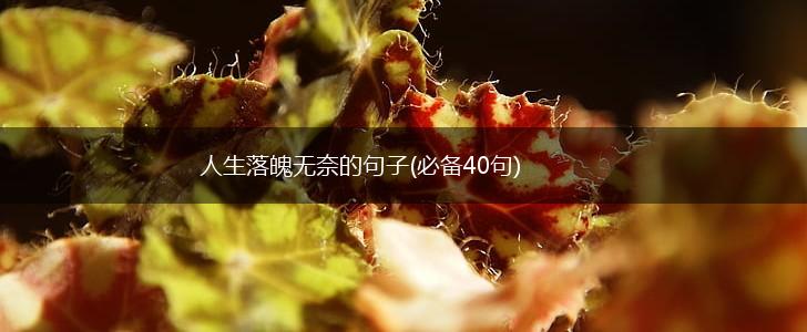 人生落魄无奈的句子(必备40句),第1张