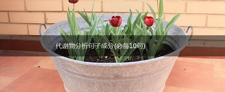 代谢物分析句子成分(必备10句),第1张