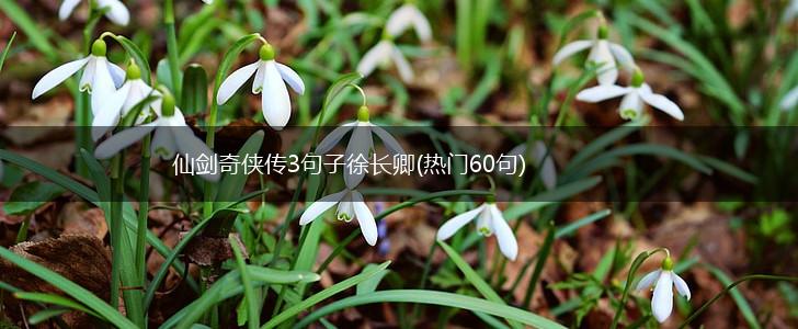 仙剑奇侠传3句子徐长卿(热门60句),第1张