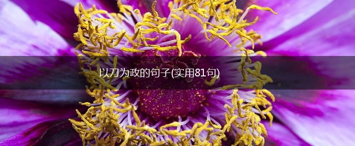 以刀为政的句子(实用81句),第1张