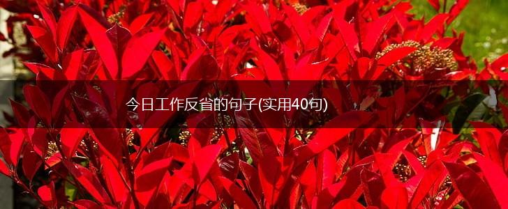今日工作反省的句子(实用40句),第1张