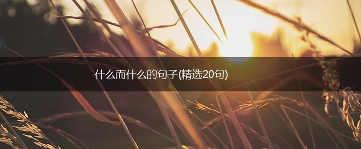 什么而什么的句子(精选20句),第1张