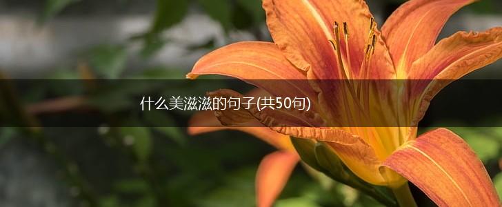 什么美滋滋的句子(共50句),第1张