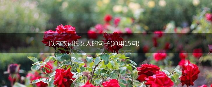 以内衣衬托女人的句子(通用15句),第1张