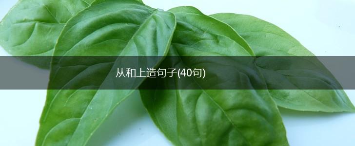 从和上造句子(40句),第1张