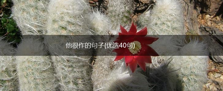 他很作的句子(优选40句),第1张