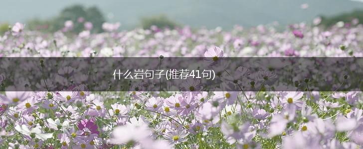什么岩句子(推荐41句),第1张