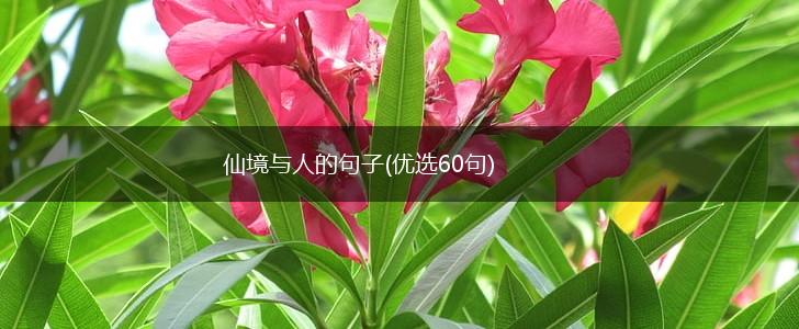 仙境与人的句子(优选60句),第1张