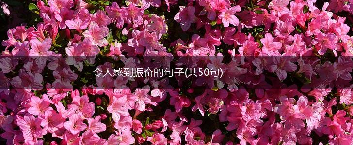 令人感到振奋的句子(共50句),第1张