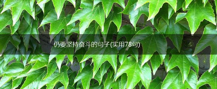 仍要坚持奋斗的句子(实用78句),第1张