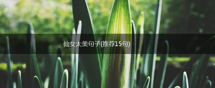 仙女太美句子(推荐15句),第1张