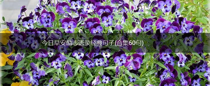 今日早安励志语录经典句子(合集60句),第1张