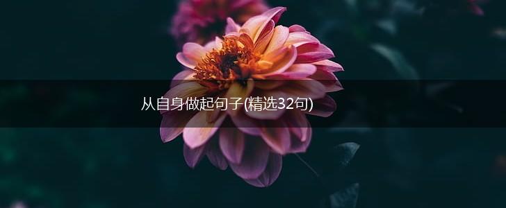 从自身做起句子(精选32句),第1张