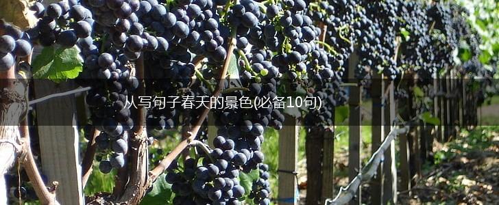 从写句子春天的景色(必备10句),第1张