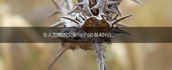 令人觉醒的文案句子(必备40句),第1张