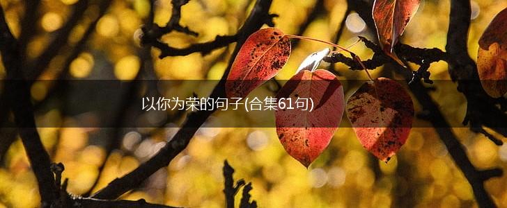以你为荣的句子(合集61句),第1张