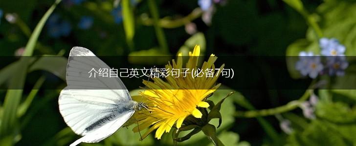 介绍自己英文精彩句子(必备7句),第1张
