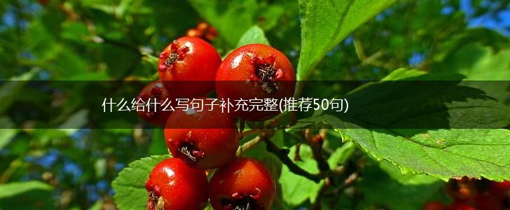 什么给什么写句子补充完整(推荐50句),第1张