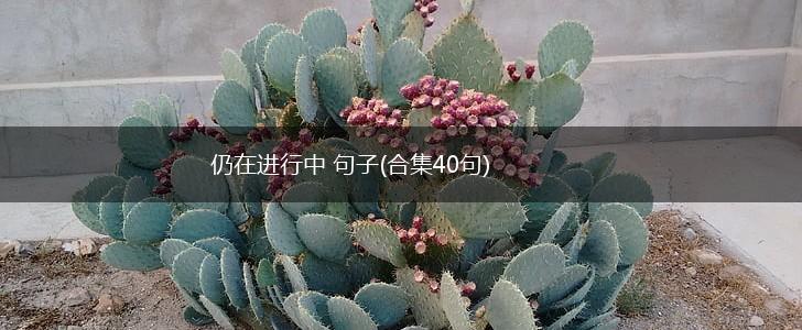 仍在进行中 句子(合集40句),第1张