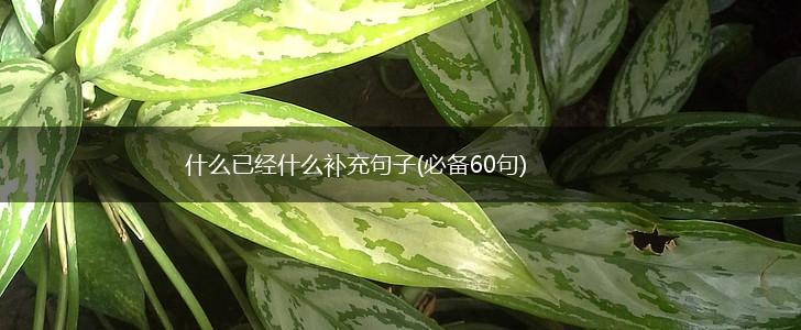 什么已经什么补充句子(必备60句),第1张